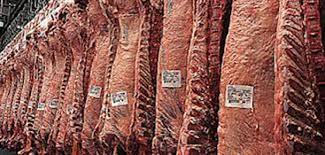 How APEA's consortiums of beef producers work