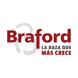 Asociación Braford Argentina